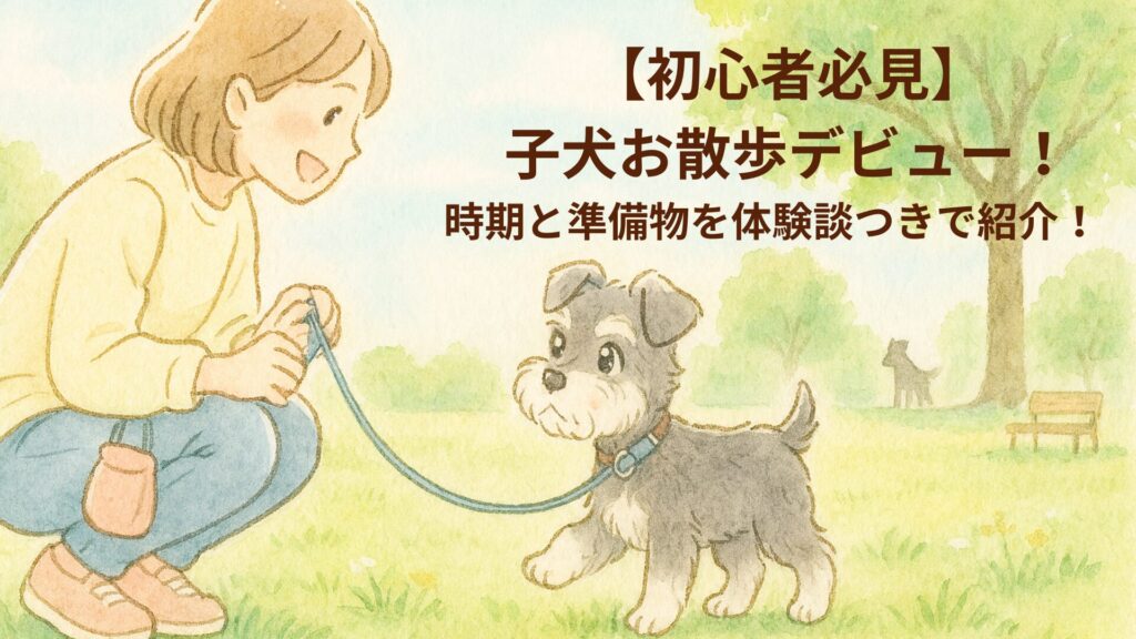 子犬のお散歩デビュー画像