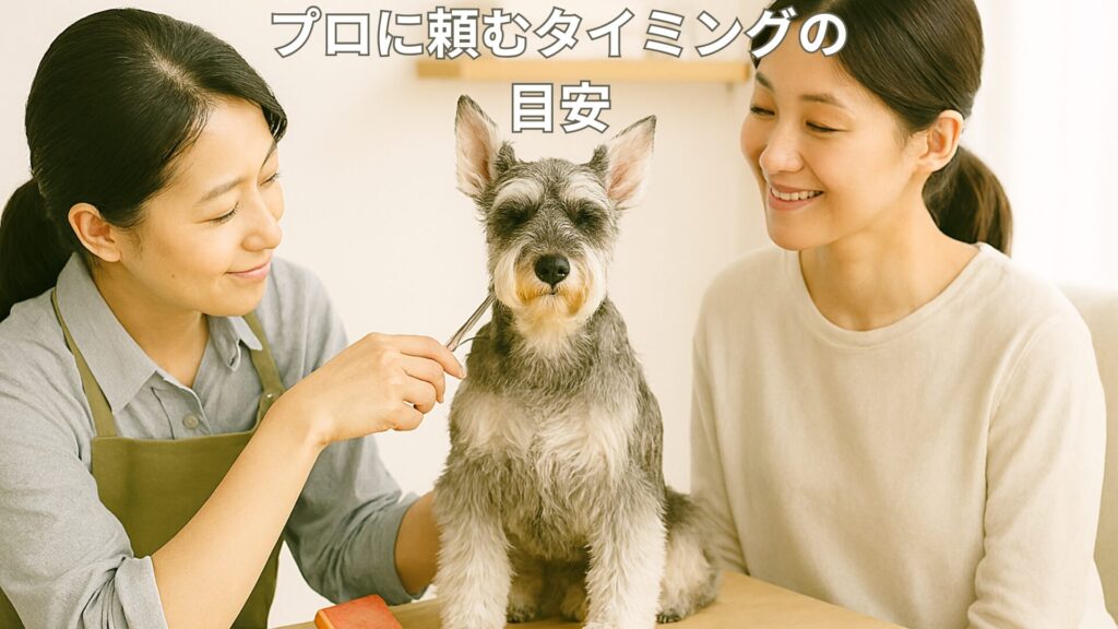 プロに頼むタイミングの目安画像