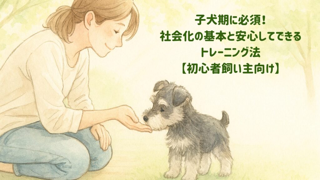 社会化アイキャッチ画像