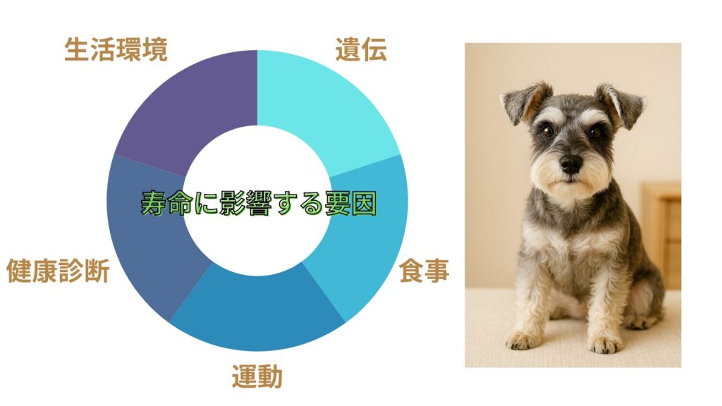 寿命に影響する要因画像