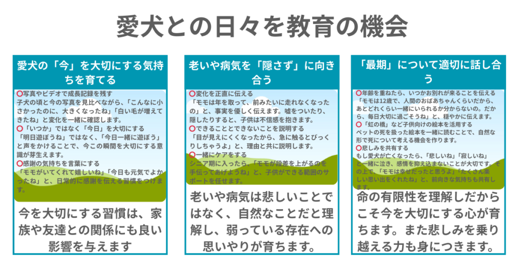 教育の機会図解