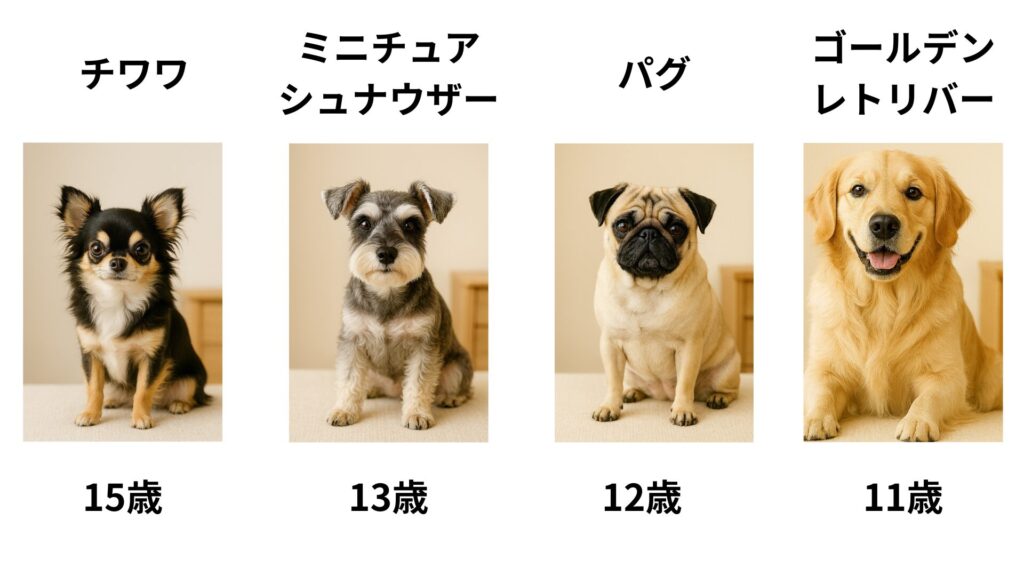 犬種ごとの平均寿命