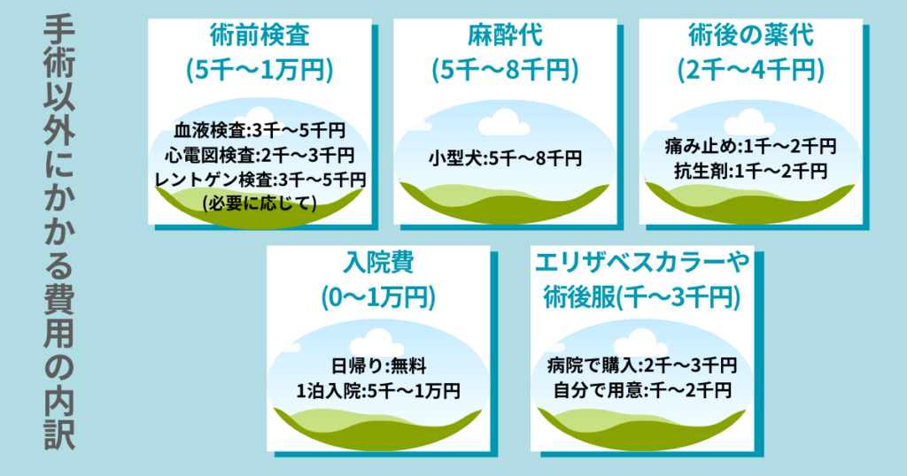 手術以外の費用図解