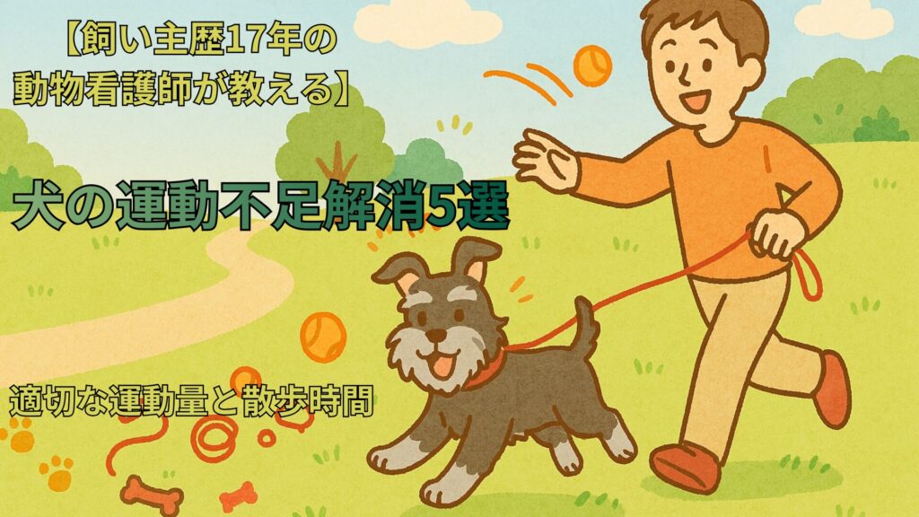 運動不足アイキャッチ画像