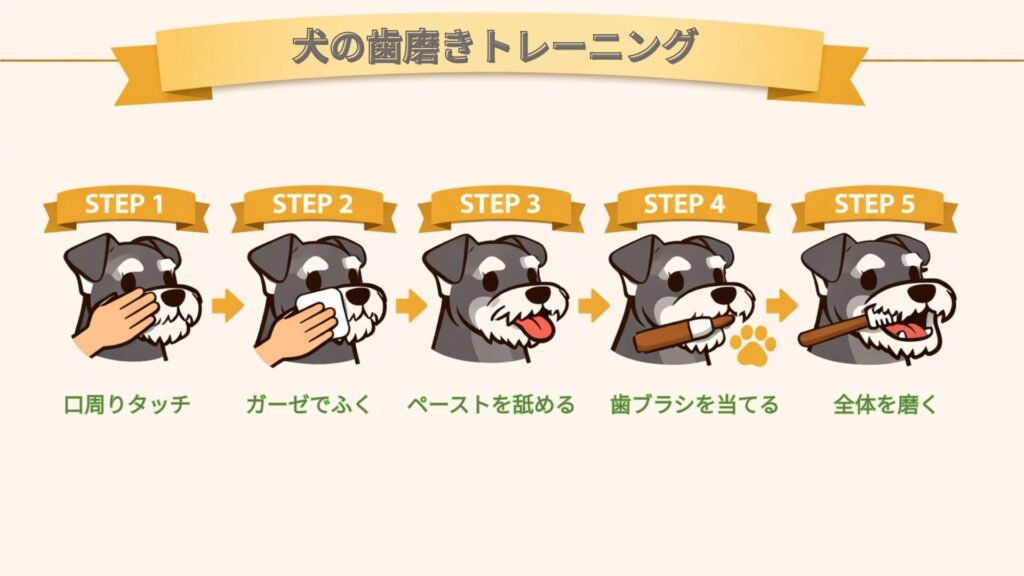 歯磨きトレーニング画像